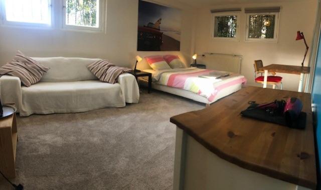 Chambre indépendante aux pied des Pyrénées Billere Esterno foto